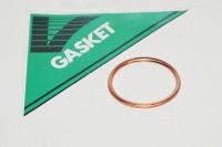 Udstødningspakninger(1) GTR1400 ZX9R