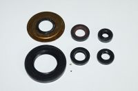 Motor pakdåse kit(6PCS) - XV1000 TR1