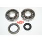 Leje kit for krumtap SUZUKI RM250 88-93