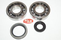 Leje kit for krumtap SUZUKI RM250 94-95