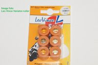 Leo Vince Variator-rulle 13,5x17 - 6,1 G