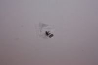 Nitteled knastkæde BF05M - CCM-G