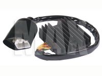 Ensretter HONDA CBR900RR 00-01