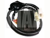 Ensretter HONDA CBR1100XX BLACKBIRD