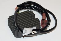 Ensretter KTM690/SMC