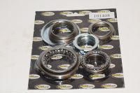 Kronrørs lejer (Sæt), Piaggio