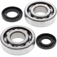 Crank Bearing and Seal Kit
