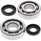 Crank Bearing and Seal Kit