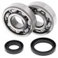 Crank Bearing and Seal Kit RM125 89-08