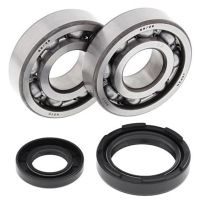 Crank Bearing and Seal Kit WR250 YZ250