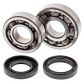 Crank Bearing and Seal Kit YFS200 BLASTE