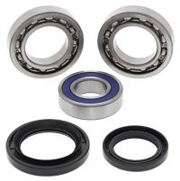 Wheel Bearing Kit REAR YFM350FX 00-05