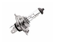 Pære 12V35/35W PX43T HALOGEN