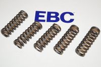 EBC Clutch spring kit (5 pcs) CSK124