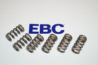EBC Clutch spring kit (6 pcs) CSK165
