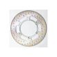 EBC Scooter disc full circle profile
